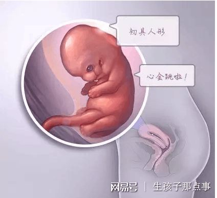 42岁成功案例